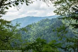 smokymountains.com